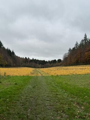 8455AFDC C09D 4800 92A8 9A27FB1A1B84