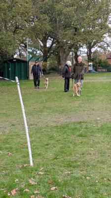 PXL 20251116 134011873.MP