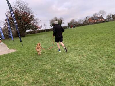 Credit to Amelie Brent