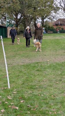 PXL 20251116 134014869.MP