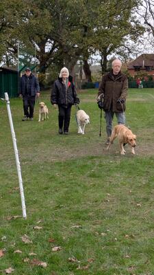 PXL 20251116 134018874